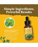 Nature's Craft Organic Lemon Balm Liquid, Mood Support and Digestive Health, Nature's Craft, 30mL