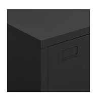 Industrial Storage Chest Black 29.5"x15.7"x45.3" Metal