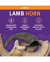 Lamb Horn Dog Chew - Large