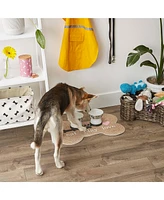 Bone Dry Pet Mat Bone Shape Eat Play Love