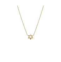 Mini Solid Star Of David Necklace 14K