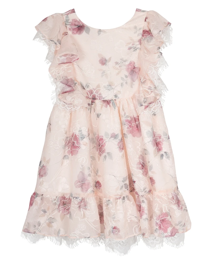 Rare Editions Toddler and Little Girls Embroidered Chiffon with Lace Trim Dress