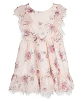 Rare Editions Toddler and Little Girls Embroidered Chiffon with Lace Trim Dress