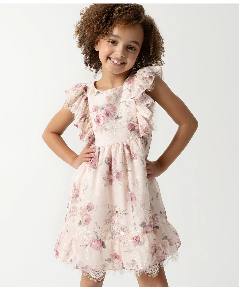 Rare Editions Toddler and Little Girls Embroidered Chiffon with Lace Trim Dress