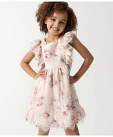 Rare Editions Toddler and Little Girls Embroidered Chiffon with Lace Trim Dress