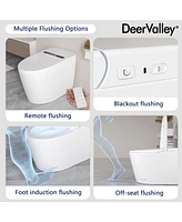 DeerValley Smart Toilet Elongated Modren Bidet Toilet with Auto/Blackout Flush, Heated Seat, Warm Wash, Dryer