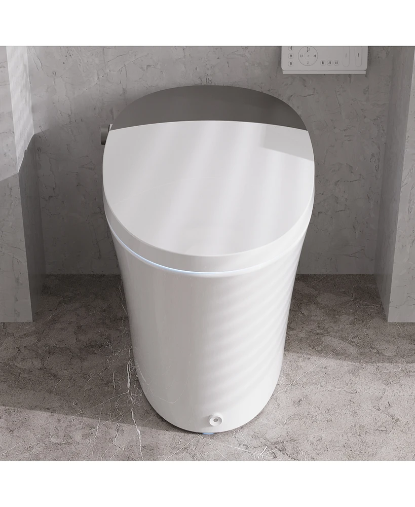 DeerValley Elongated Smart Bidet Toilet Tankless, Foot Kick & Blackout Flush, Warm Wash, Night Light, Advanced