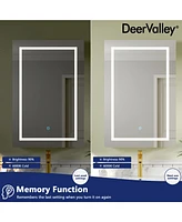 DeerValley 24'' W x 36'' H Led Lighted Wall Mounted Medicine Cabinets with Mirror and 2 Adjustable Shelves