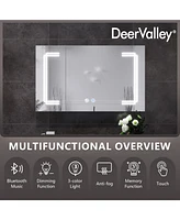 DeerValley 39'' W x 24'' H Led Lights Medicine Cabinets With Mirrors , Defogger, Dimmer, Bluetooth Speaker