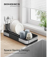 Slickblue Small Dish Drying Rack – Stainless Steel Countertop Dish Rack with Drain, Utensil Holder, Rustproof Design
