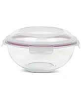 Sedona Kitchen 10-Piece Nesting Glass Bowl Set