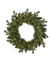 Seasonal 24" Palmetto Pine Wreath, 50 Dual Led Lights