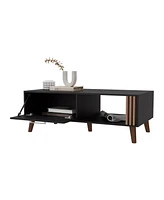 Fm Furniture Govan Coffee Table with a Door, Conical Legs, and Open Storage, Wengue