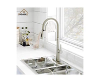 Casainc Spring Neck Standard Kitchen Faucet with Dual-Function spray head and Deck Plate
