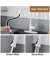 Casainc Pull Down Sprayer Kitchen Faucet with Dual-Function Sprayer and Deck Plate in Spot-Free