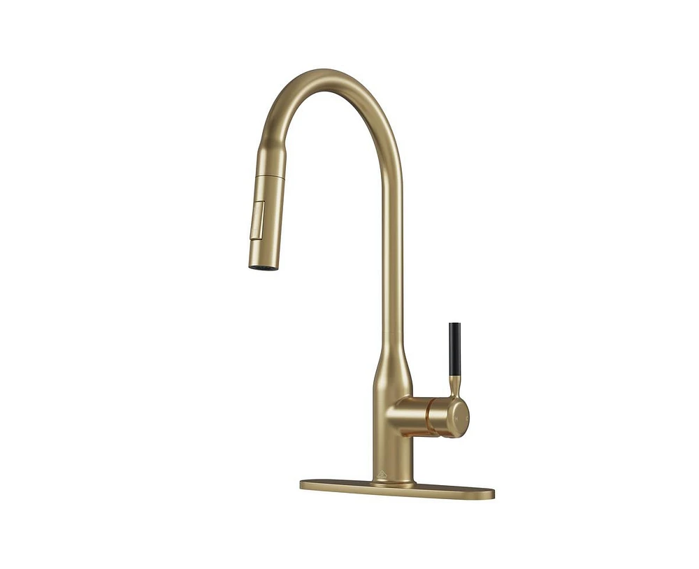 Casainc Single-Handle Pull-Down Kitchen Faucet Single Hole Faucet with Deck Plate