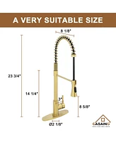 Casainc Spring Pull Down Sprayer Kitchen Faucet with Dual-Function Spray Head and Deck Plate