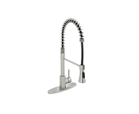 Casainc Spring Standard Kitchen Faucet with Dual-Function Spray Head and Deck Plate