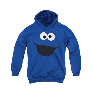 Sesame Street Youth Cookie Monster Face Pull Over Hoodie