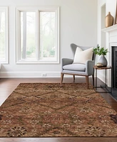 Addison Chantille ACN842 8'x10' Area Rug