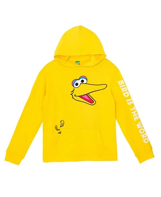 Sesame Street Toddler Boys Matching Family Cosplay Pullover Hoodie