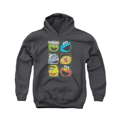 Sesame Street Youth Group Squares Pull Over Hoodie