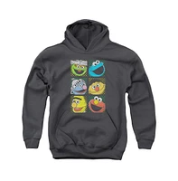 Sesame Street Boys Youth Group Squares Pull Over Hoodie