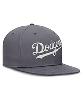 Nike Men's Gray Los Angeles Dodgers Performance True Fitted Hat