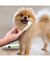 P.t. Supply Co. Eco-Friendly Pet Dental Care Kit, Toothbrush and Toothpaste Made with Sustainable Wheat Straw Material