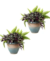 Sunnydaze Decor Purlieu 12-Inch Outdoor/Indoor Ceramic Planters