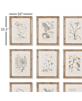 Napa Home & Garden Botanical Illustrations, Set Of 9