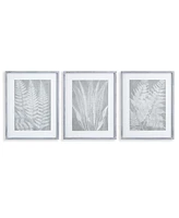 Napa Home & Garden Fern Frond Prints, Set Of 3