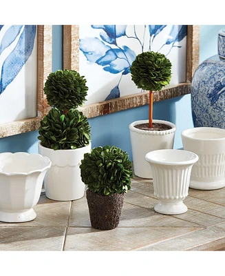 Boxwood Mini Topiary Drop-Ins, Set Of 3