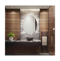 Safavieh Nolan Led Mirror