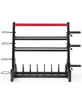 Sunny Health & Fitness All-In-One Weights Storage Rack Stand - Sf-XF920025