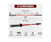 Er Kang 7ft Olympic Barbell, Barbell for Weightlifting and Powerlifting 45lb, Bar 1500lbs Capacity, Weight Fit 2” Standard Weig