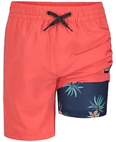 Quiksilver Big Boys Everyday Volley Swim Shorts