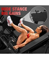 Er Kang Leg Press Hack Squat Machine Combo, Leg Exercise Machine with Linear Bearing, 45-Degree Lower Body Special with Weight Storage for Quads, Hams