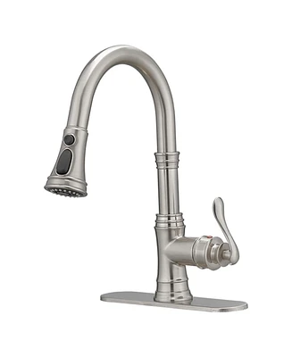 Single Handle 3 Spray High Arc Pull Down Sprayer Kitchen Faucet With Deck Plate in Brushed Nickel