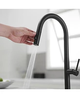 Single Handle Pull Down Sprayer Kitchen Faucet