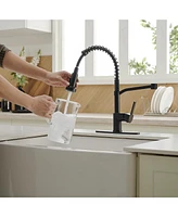 Single-Handle Pull-Down Sprayer Spray High Arc Kitchen Faucet