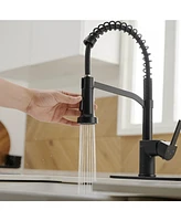 Single-Handle Pull-Down Sprayer Spray High Arc Kitchen Faucet
