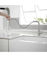 2 Sprayer Single Hole Single-Handle Pull Out Kitchen Faucet 360°Swivel Spout