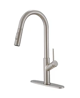 Single Handle Pull Down Sprayer Kitchen Faucet