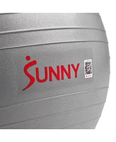 Sunny Health & Fitness Premium Yoga Ball Small 55CM Anti-Burst Exercise Ball for Workouts, Pregnancy, Physical Therapy, Stability Ball Chair Fitness,