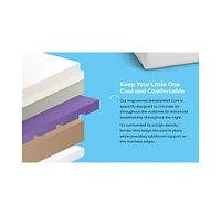 Moonlight Slumber Luxury Dreamer Crib Mattress
