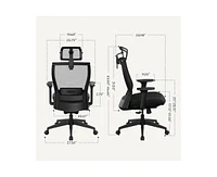 FlexiSpot C4B Ergonomic Mesh High-Back Office Chair, Black