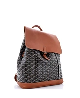 Pre-Owned Goyard Mm Alpin Backpack Coated Canvas