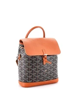 Pre-Owned Goyard Mini Alpin Backpack Coated Canvas