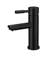 Black Single Handle Bathroom Faucet One Hole Vanity Sink Faucet Bathroom Sink Spout Bathroom Sink Faucets with Supply Lines